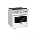 30in. 4.2 cu. ft. 4 Burner Gas Range with Convection Gas Oven in DuraSnow Stainless Steel with White Matte Door view 1