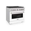 36in. 5.2 cu. ft. 6 Burner Gas Range with Convection Gas Oven in DuraSnow Stainless Steel with White Matte Door view 1