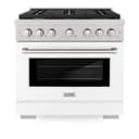 36in. 5.2 cu. ft. 6 Burner Gas Range with Convection Gas Oven in DuraSnow Stainless Steel with White Matte Door view 4
