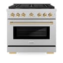 AutographEdition 36 in. 5.2 cu. ft. 6 Burner Gas Range with Convection Gas Oven in DuraSnow Stainless Steel and Polished Gold Accents view 4