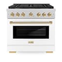 AutographEdition 36 in. 5.2 cu. ft. 6 Burner Gas Range with Convection Gas Oven in DuraSnow Stainless Steel with White Matte Door and Polished Gold Accents view 3