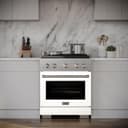 30in. 4.2 cu. ft. 4 Burner Gas Range with Convection Gas Oven in Stainless Steel with White Matte Door view 3