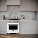 30in. 4.2 cu. ft. 4 Burner Gas Range with Convection Gas Oven in Stainless Steel with White Matte Door view 14