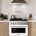 36in. 5.2 cu. ft. 6 Burner Gas Range with Convection Gas Oven in Stainless Steel with White Matte Door view 2