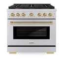 AutographEdition 36 in. 5.2 cu. ft. 6 Burner Gas Range with Convection Gas Oven in Stainless Steel and Champagne Bronze Accents view 5
