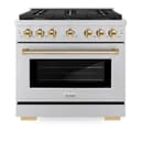 AutographEdition 36 in. 5.2 cu. ft. 6 Burner Gas Range with Convection Gas Oven in Stainless Steel and Polished Gold Accents view 4