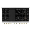 AutographEdition 48 in. 6.7 cu. ft. 8 Burner Double Oven Gas Range in Stainless Steel and Champagne Bronze Accents view 5