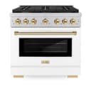 AutographEdition 36 in. 5.2 cu. ft. 6 Burner Gas Range with Convection Gas Oven in Stainless Steel with White Matte Door and Polished Gold Accents view 4