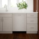 300 Series Built-in Dishwasher 24'' view 6
