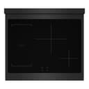 Autograph Edition 30 In. 4.2 Cu. Ft. Paramount Induction Range With 4 Element Cooktop And Electric Convection Oven In Black Stainless Steel With Champagne Bronze Accents view 2