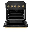 Autograph Edition 30 In. 4.2 Cu. Ft. Paramount Induction Range With 4 Element Cooktop And Electric Convection Oven In Black Stainless Steel With Champagne Bronze Accents view 3
