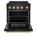 Autograph Edition 30 In. 4.2 Cu. Ft. Paramount Induction Range With 4 Element Cooktop And Electric Convection Oven In Black Stainless Steel With Polished Gold Accents view 3