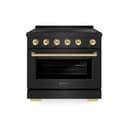 Autograph Edition 36 In. 5.2 Cu. Ft. Paramount Induction Range With 5 Element Cooktop And Electric Convection Oven In Black Stainless Steel With Polished Gold Accents view 1