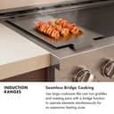 30 In. 4.2 Cu. Ft. Paramount Induction Range With 4 Element Cooktop And Electric Convection Oven In Satin Stainless Steel With White Matte Door view 13