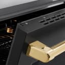 Autograph Edition 36 In. 5.2 Cu. Ft. Paramount Induction Range With 5 Element Cooktop And Electric Convection Oven In Satin Stainless Steel With Black Matte Door And Polished Gold Accents view 6