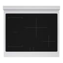 Autograph Edition 30 In. 4.2 Cu. Ft. Paramount Induction Range With 4 Element Cooktop And Electric Convection Oven In Satin Stainless Steel With White Matte Door And Matte Black Accents view 2