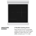 Autograph Edition 24 In. 3.2 Cu. Ft. Paramount Induction Range With 3 Element Cooktop And Electric Convection Oven In Stainless Steel With Champagne Bronze Accents view 13