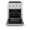 Autograph Edition 24 In. 3.2 Cu. Ft. Paramount Induction Range With 3 Element Cooktop And Electric Convection Oven In Stainless Steel With Polished Gold Accents view 3