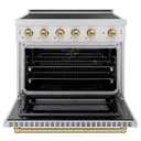 Autograph Edition 36 In. 5.2 Cu. Ft. Paramount Induction Range With 5 Element Cooktop And Electric Convection Oven In Stainless Steel With Champagne Bronze Accents view 3