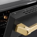 Autograph Edition 36 In. 5.2 Cu. Ft. Paramount Induction Range With 5 Element Cooktop And Electric Convection Oven In Stainless Steel With Black Matte Door And Polished Gold Accents view 5