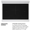 Autograph Edition 36 In. 5.2 Cu. Ft. Paramount Induction Range With 5 Element Cooktop And Electric Convection Oven In Stainless Steel With Black Matte Door And Polished Gold Accents view 12