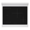 Autograph Edition 30 In. 4.2 Cu. Ft. Paramount Induction Range With 4 Element Cooktop And Electric Convection Oven In Stainless Steel With White Matte Door And Polished Gold Accents view 2