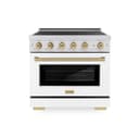 Autograph Edition 36 In. 5.2 Cu. Ft. Paramount Induction Range With 5 Element Cooktop And Electric Convection Oven In Stainless Steel With White Matte Door And Champagne Bronze Accents view 1