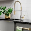 Autograph Edition Sierra Pull Down Spring Single Handle Kitchen Faucet In Brushed Nickel And Champagne Bronze view 8