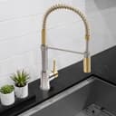 Autograph Edition Sierra Pull Down Spring Single Handle Kitchen Faucet In Brushed Nickel And Champagne Bronze view 9