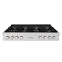 ZLINE 48 in. Paramount Gas Rangetop with 8 Burners and Porcelain Cooktop in Stainless Steel (SRT48) view 1