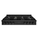 ZLINE 48 in. Paramount Gas Rangetop with 8 Brass Burners and Porcelain Cooktop in Black Stainless Steel (SRTB-BR-48) view 1