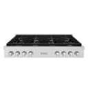 ZLINE 48 in. Paramount Gas Rangetop with 8 Brass Burners and Porcelain Cooktop in DuraSnow® Stainless Steel (SRTS-BR-48) view 1