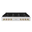 ZLINE Autograph Edition 48 in. Paramount Gas Rangetop with 8 Burners and Porcelain Cooktop in DuraSnow® Stainless Steel with Polished Gold Accents (SRTSZ-48-G) view 1