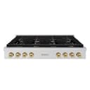 ZLINE Autograph Edition 48 in. Paramount Gas Rangetop with 8 Burners and Porcelain Cooktop in Stainless Steel with Champagne Bronze Accents (SRTZ-48-CB) view 1