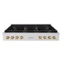 ZLINE Autograph Edition 48 in. Paramount Gas Rangetop with 8 Burners and Porcelain Cooktop in Stainless Steel with Polished Gold Accents (SRTZ-48-G) view 1