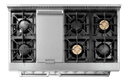 48 Inch Dual Fuel Range In Stainless Steel Professional view 4