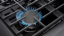 36-inch Liquid Propane Range view 4