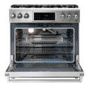36 Inch Tilt Panel Professional Liquid Propane Range view 3