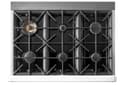 36' Classic Retro Range with FR Triple Crown Burner view 2