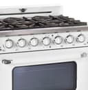 36' Classic Retro Range with FR Triple Crown Burner view 9