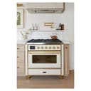 Majestic II Series 36" Dual Fuel Liquid Propane Freestanding Range view 3