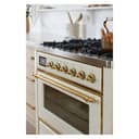 Majestic II Series 36" Dual Fuel Natural Gas Freestanding Range view 10