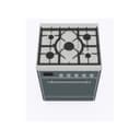 Majestic II Series 30" Dual Fuel Liquid Propane Freestanding Range view 3