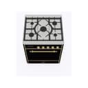 Majestic II Series 30 inch Freestanding Dual Fuel Range with Liquid Propane, 5 Sealed Brass Burners, 4 cu. ft. Total Oven Capacity, Convection Oven, Continuous Grates, Storage Drawer, with Brass Trim view 3