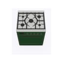 Majestic II Series 30" Dual Fuel Liquid Propane Freestanding Range view 3