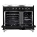 Majestic II Series 40" Dual Fuel Natural Gas Freestanding Range view 3