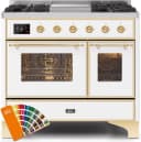 Majestic II Series 40" Dual Fuel Natural Gas Freestanding Range view 1