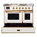 Majestic II Series 40" Dual Fuel Natural Gas Freestanding Range view 13