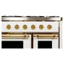 Majestic II Series 40" Dual Fuel Natural Gas Freestanding Range view 7