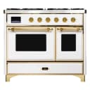 Majestic II Series 40" Dual Fuel Liquid Propane Freestanding Range view 10